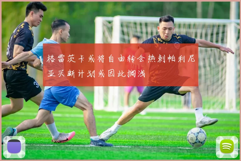 格雷茨卡或将自由转会热刺帕利尼亚买断计划或因此搁浅